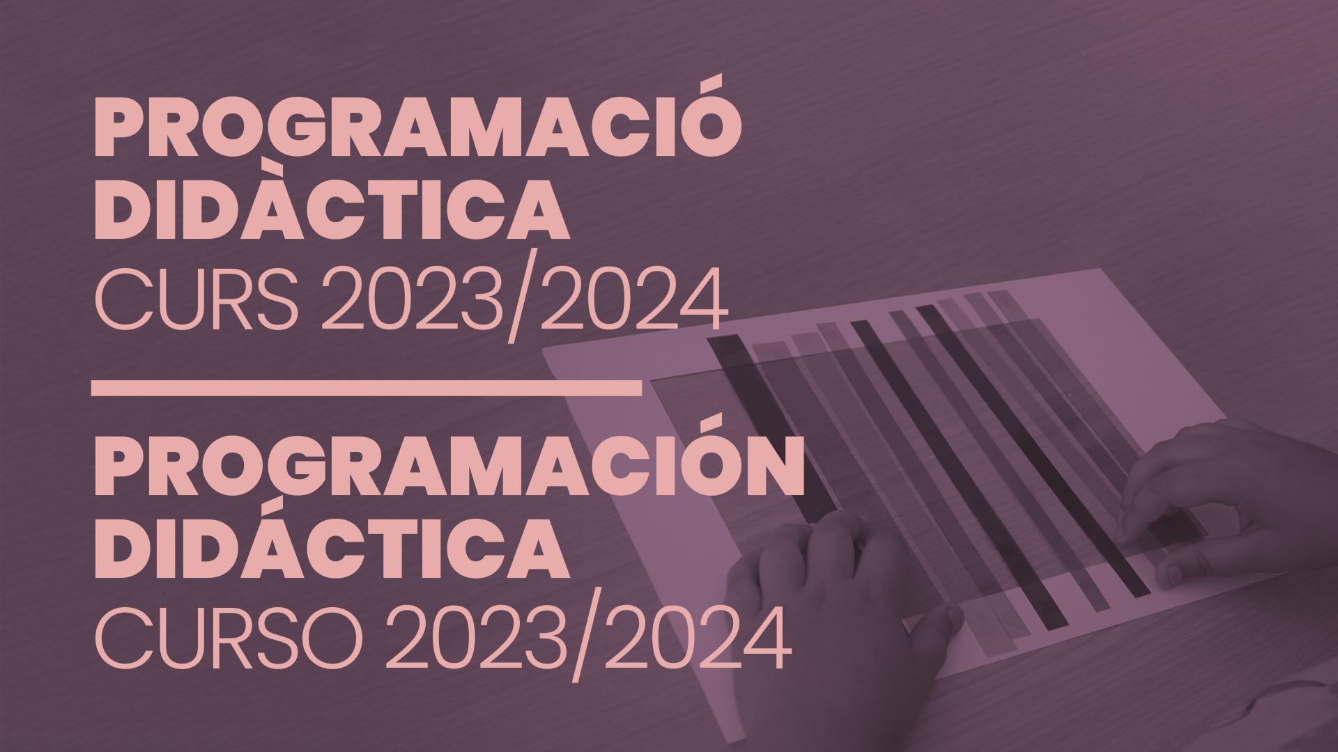 PROGRAMACIÓ DIDÀCTICA CURS 2023/2024
